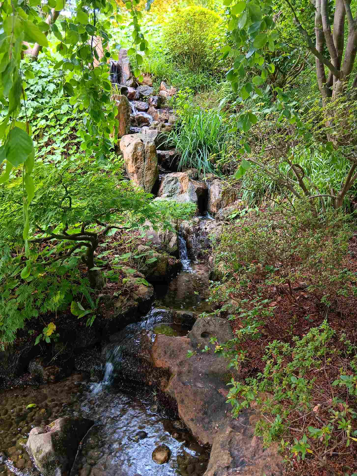 gmcae