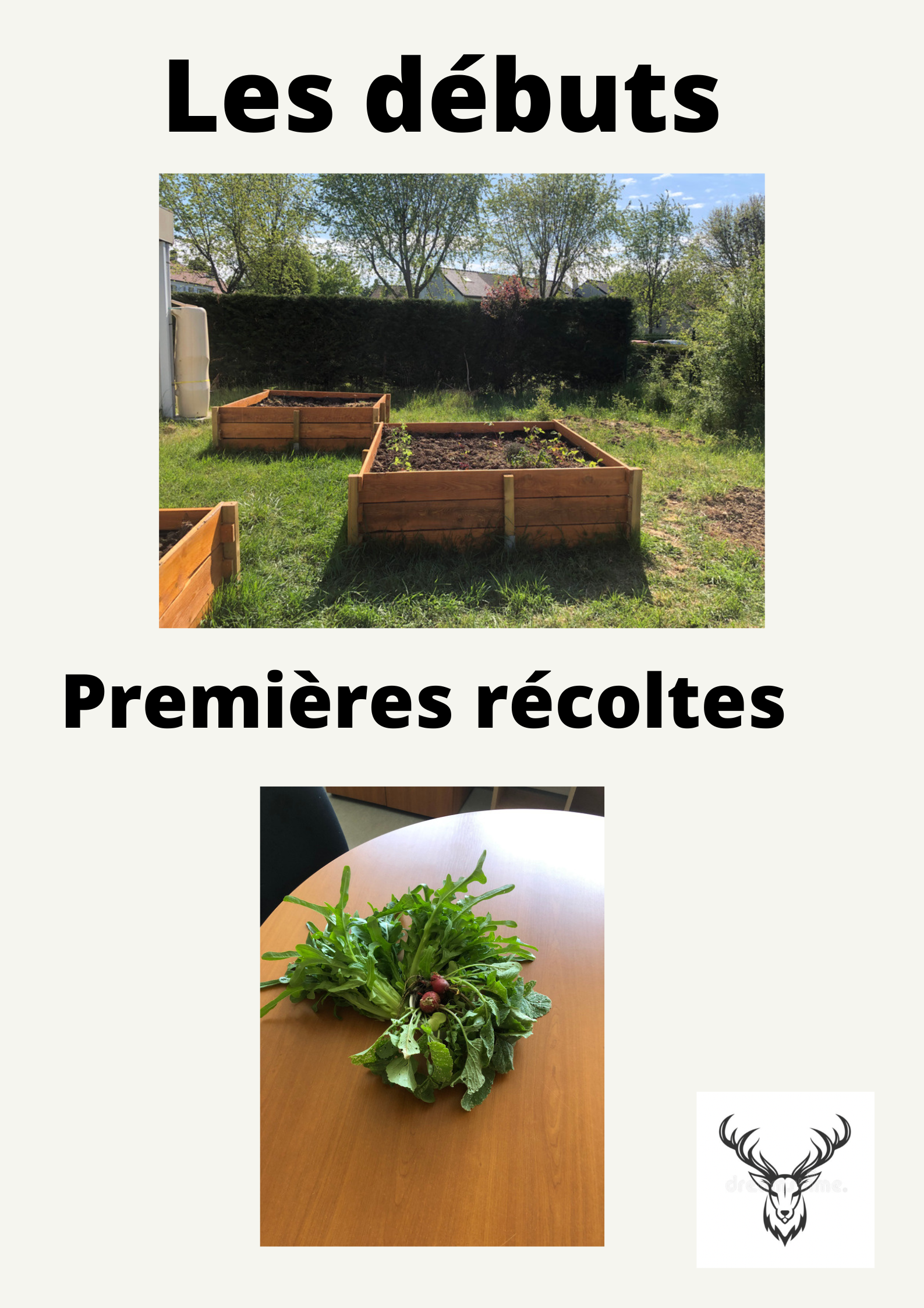 premières récoltes