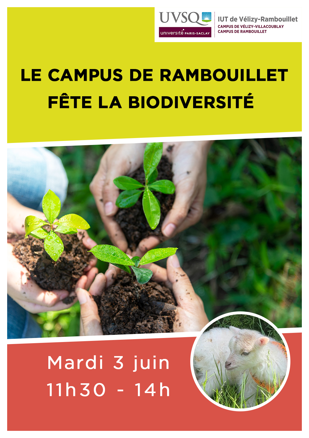 Le campus de Rambouillet fête la biodiversité - IUT de Vélizy - Rambouillet