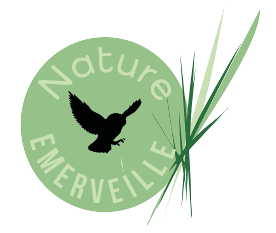 biodiversité