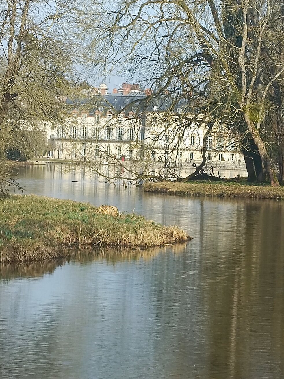 domaine