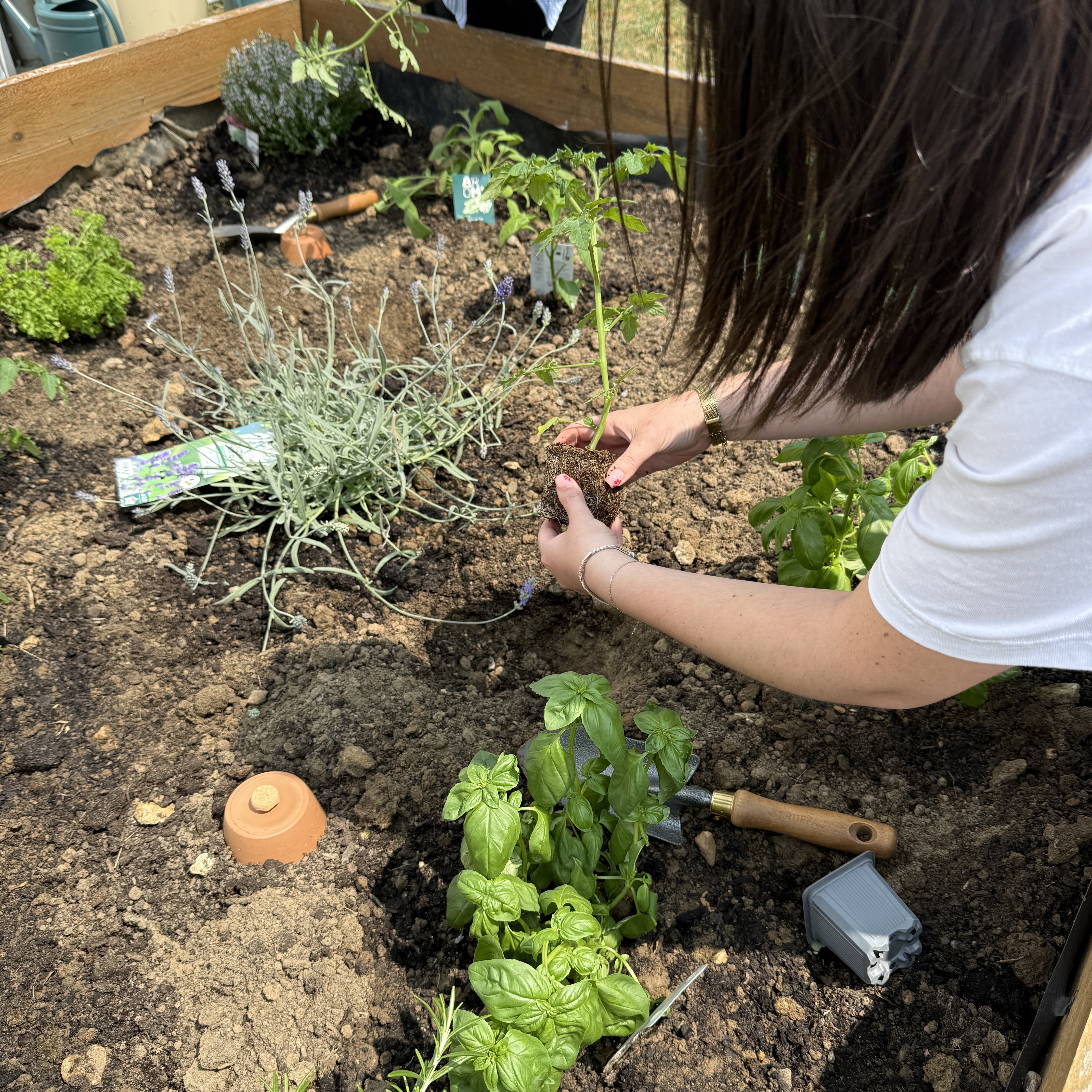 biodiversité