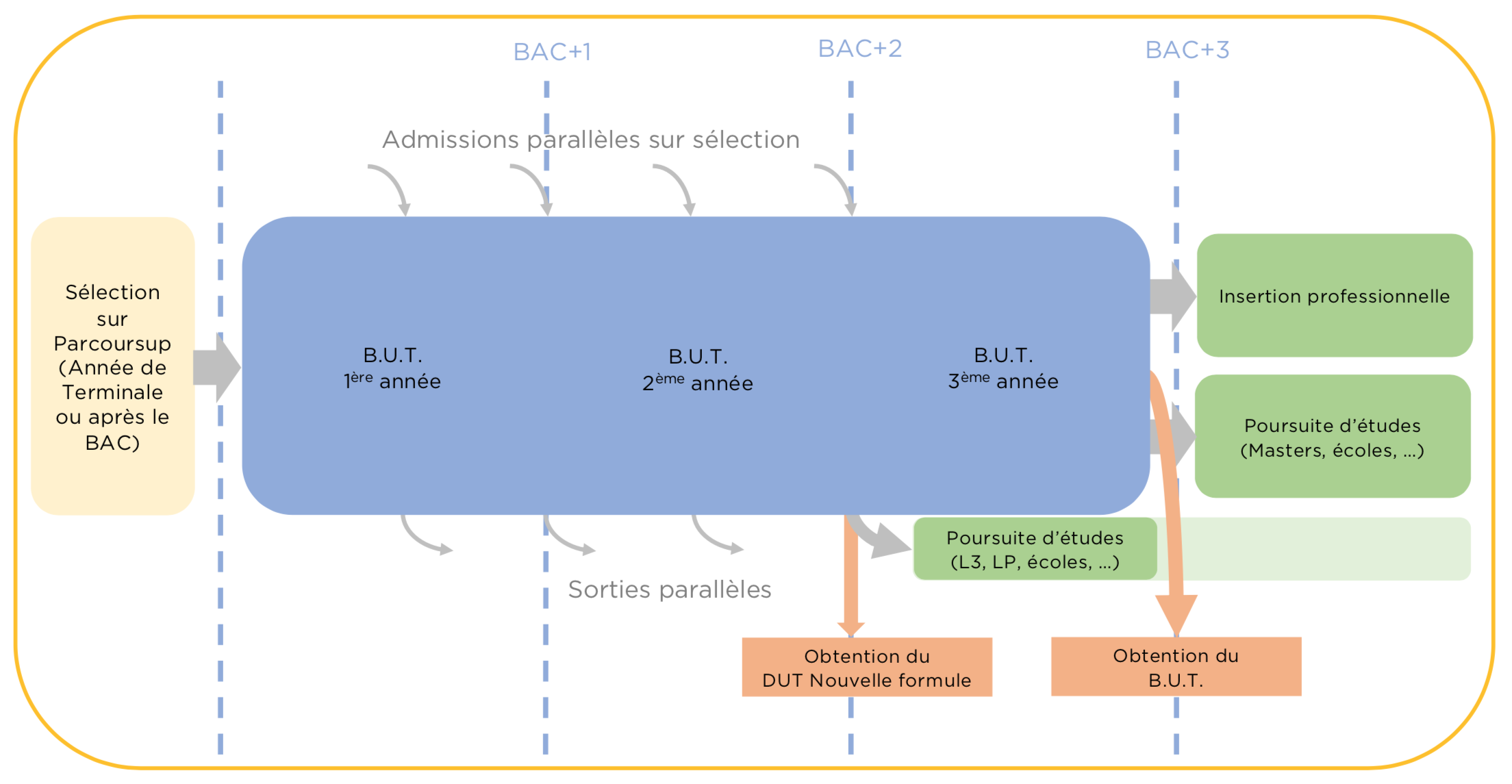 Organigramme du B.U.T.