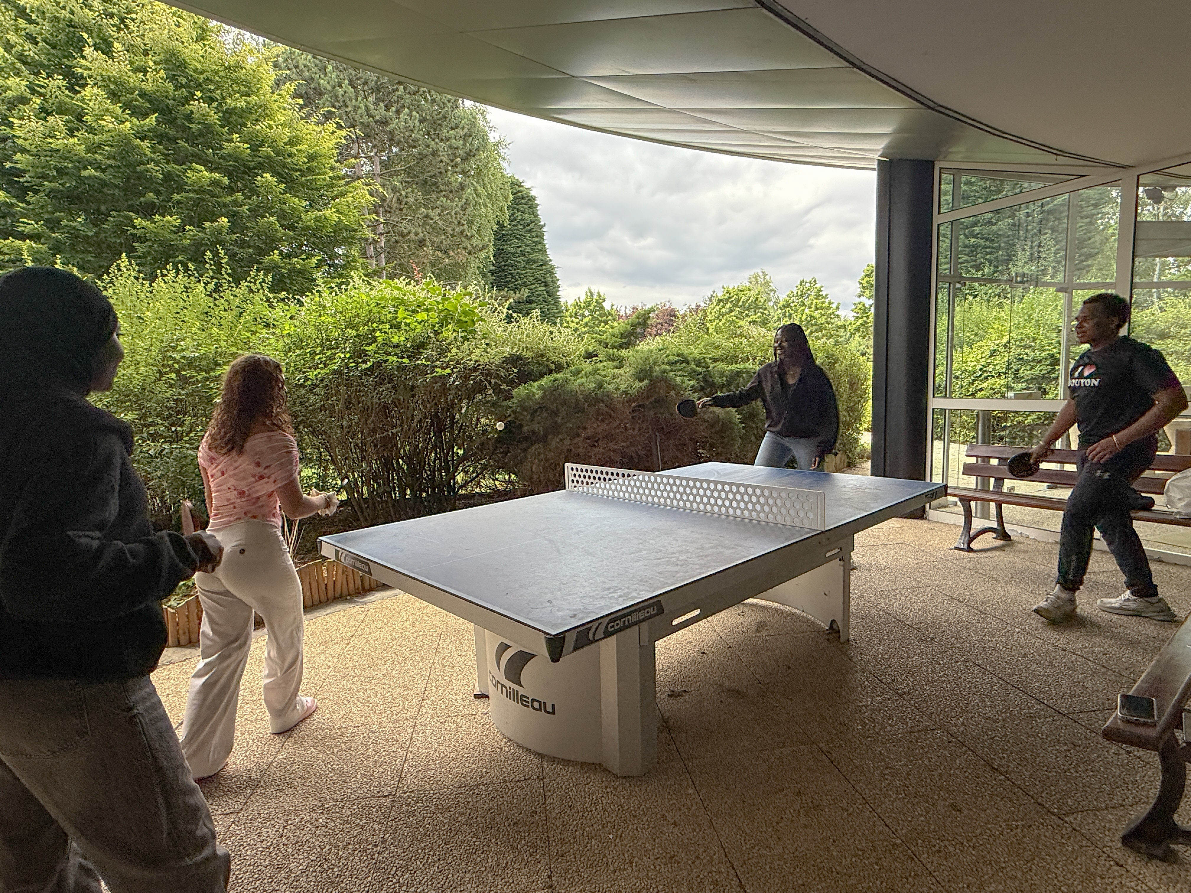 ping pong